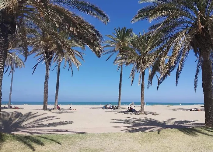 Patacona